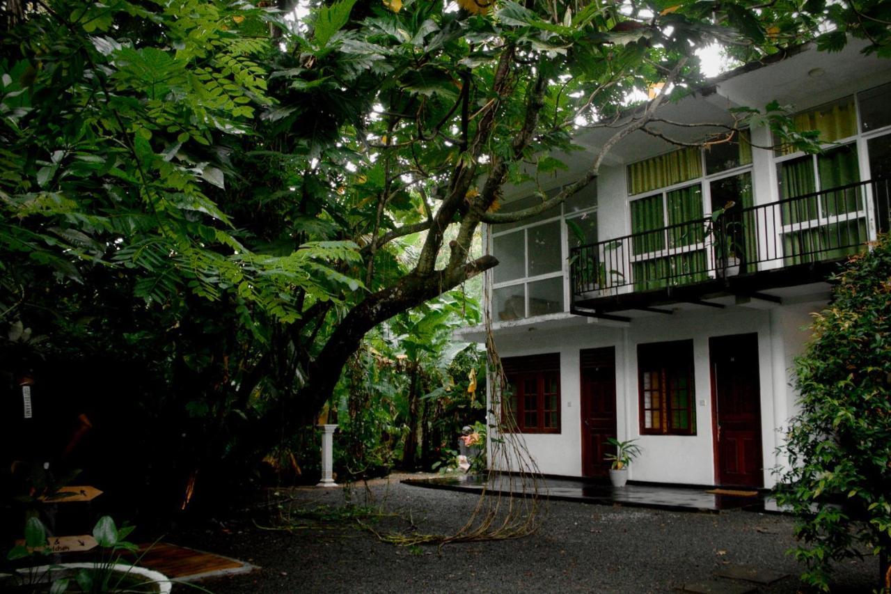 Hotel Bananas Mirissa Exterior foto